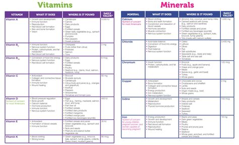 Timetable Chart For Vitamins And Minerals Daily Intake Honqr