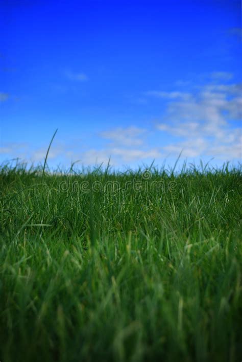 Grass And Sky Stock Image Image Of Country Blue Peace 3515031