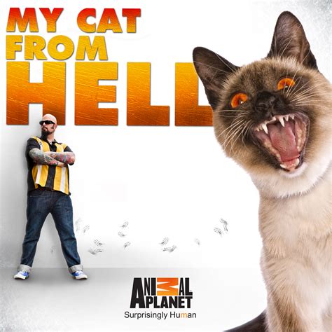 my cat from hell season 6 on itunes