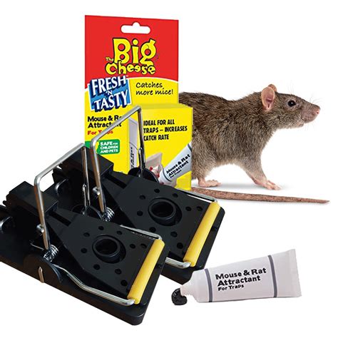 Professional Rat Traps With Lure