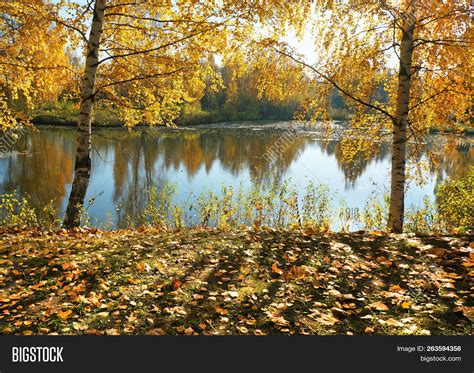 Autumnal Nature Wild Image And Photo Free Trial Bigstock