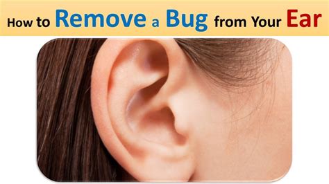 How To Remove A Bug From Your Ear Ready For Removal And Taking Out The