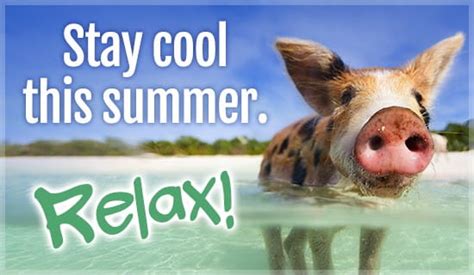 Stay Cool Relax Ecard Free Summer Cards Online