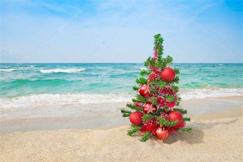 Christmas Tree On The Sea Beach Christmas Vacation Concept Stock