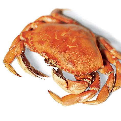 How To Clean Live Crabs Before Cooking Place Live Crabs In Freezer