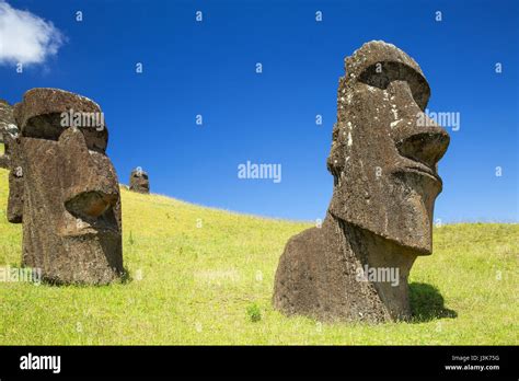 Giant Moai On Easter Island Stock Photo Alamy