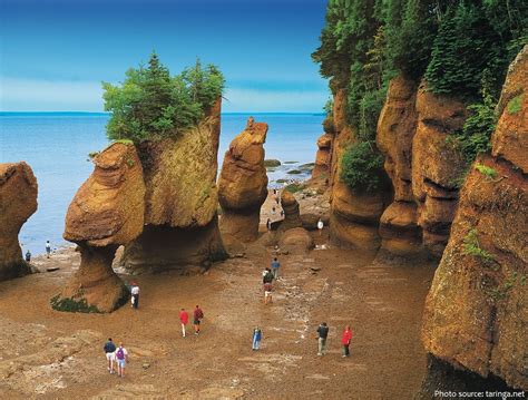 Bay Of Fundy Just Fun Facts