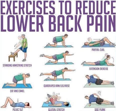 However athletes can also suffer from lower back pain and they are very active. For Weight Here Are The Best Stretches For Lower Back Pain ...