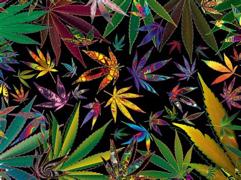 Weed Collage Wallpapers On Wallpaperdog