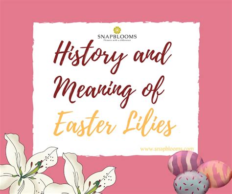 History And Meaning Of Easter Lilies Snapblooms Blogs