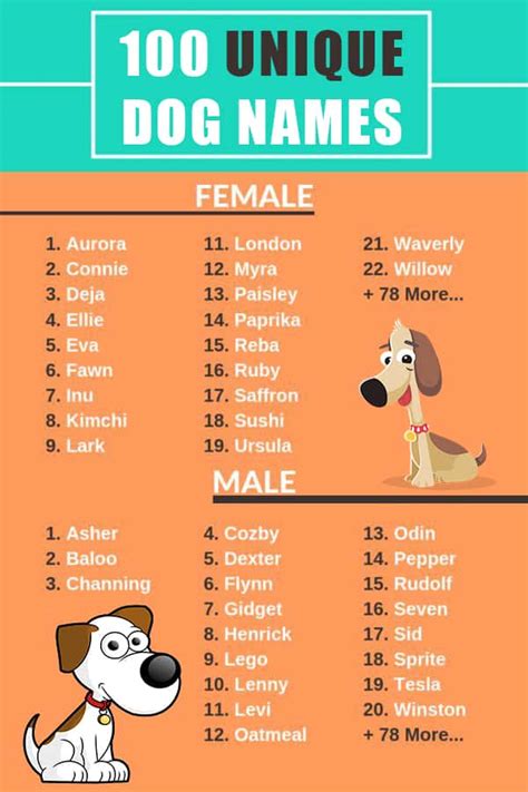 They aren't einstein's on four legs like border collies are, but bulldogs do. 100+ Popular Dog Names: Male, Female, Unique, Funny, Food ...