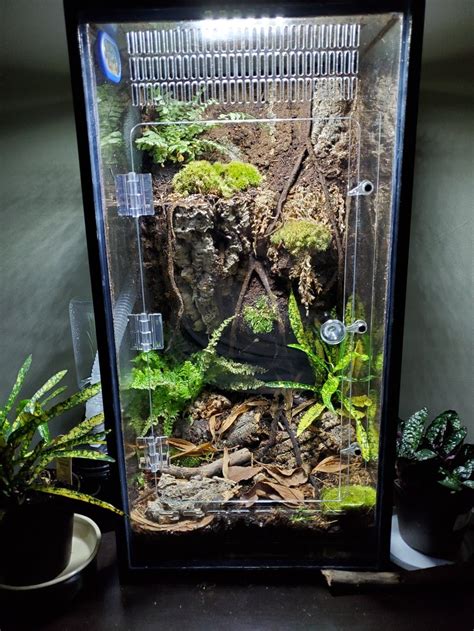 20 Gallon Tallhigh Aquarium Geckoarboreal Conversion Kit Crested
