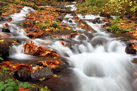 60 Breathtaking Fall Pictures The Photo Argus