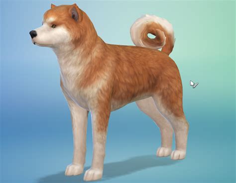 Now that you've gotten a pet, you want to know how to breed them, breeding in sims 4 is similar to that of sims 3 however, there. Review: The Sims 4: Cats & Dogs (PC) - Digitally Downloaded