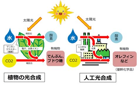 太陽とco2で化学品をつくる「人工光合成」、今どこまで進んでる？｜スペシャルコンテンツ｜資源エネルギー庁