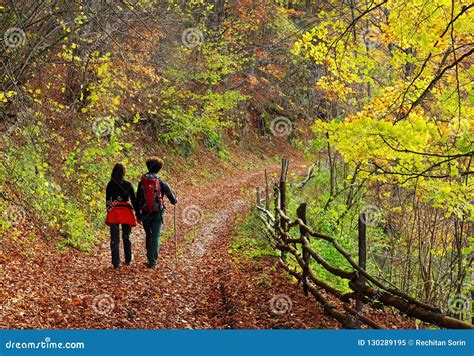 Young Couple Walking On A Forest Path In Autumn Stock Image Image Of