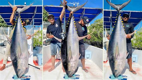 Pesca De Atún Gigante Con Carnada Viva Youtube