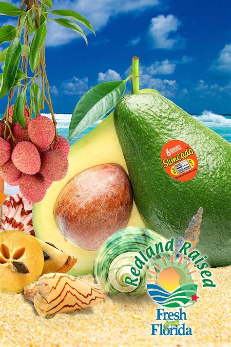 Florida Tropicals Are Coming Into Their Season Slimcados Starfruit