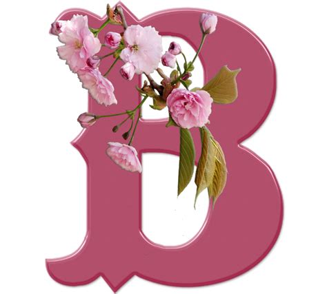 Blindada Por Deus Alfabeto Decorativo Sakura Rosa