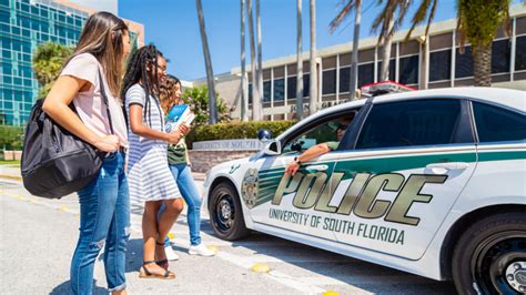 Explore Usf Transfer University Of South Florida