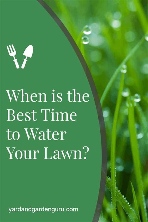 Support local with kiwi hire group based in new plymouth. How Long Should I Water the Lawn? (Lawn Watering Schedule)