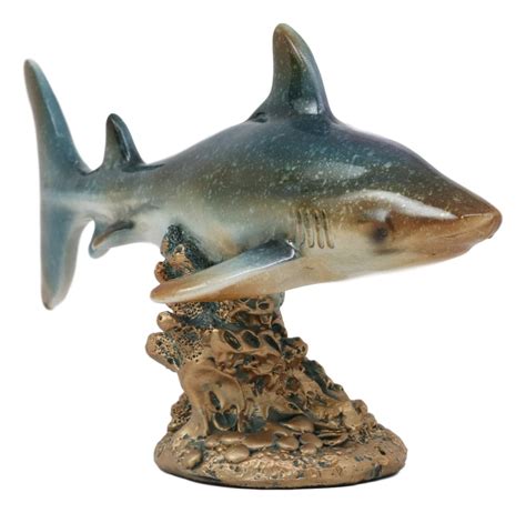 Ebros Gift Long Ocean Marine Beach Coastal Predator Great White