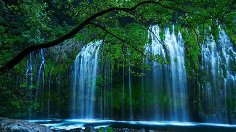 Живые обои природа Green Waterfall