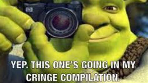 The Best Of Shreks Cringe Compilation Know Your Meme