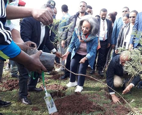President Sahilework Pm Abiy Plant Trees To Promote Green Legacy Ena