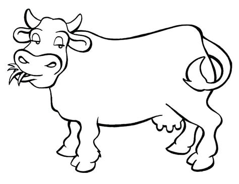 Realistic Cow Coloring Pages At Free