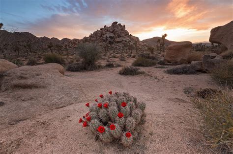 11 Of The Most Beautiful Deserts In The World