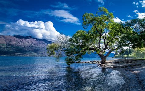 Lake Wakatipu In Queenstown New Zealand