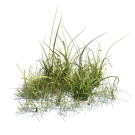 Tall Green Grass 3d Model Grass Painting Plants Grass
