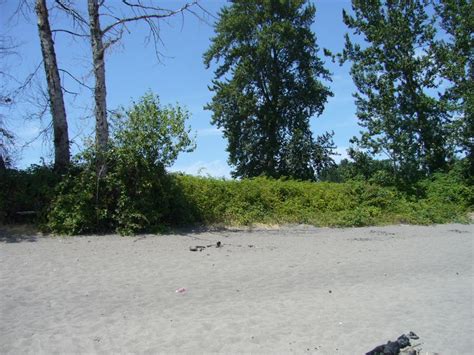 Location Photos Of Sauvie Island Collins Beach
