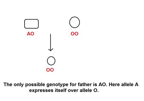 Heredity And Evolution Solution In Text And Exercise Question Studdy