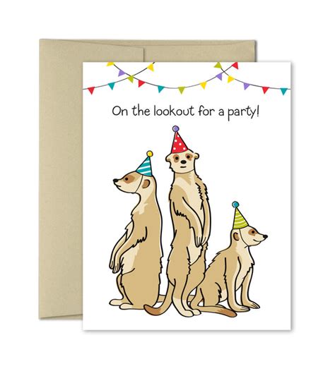 Funny Birthday Card Meerkat Birthday The Imagination Spot