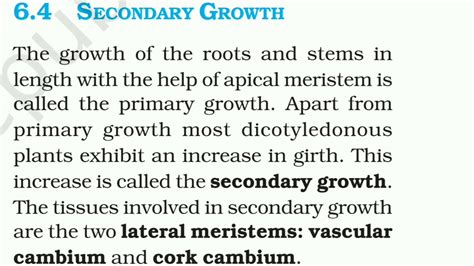 Ncert Class 11 Biology Chapter 6 Anatomy Of Flowering Plants