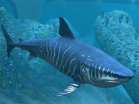 Image Megalodon 30 Cryptid Wiki Fandom Powered By Wikia