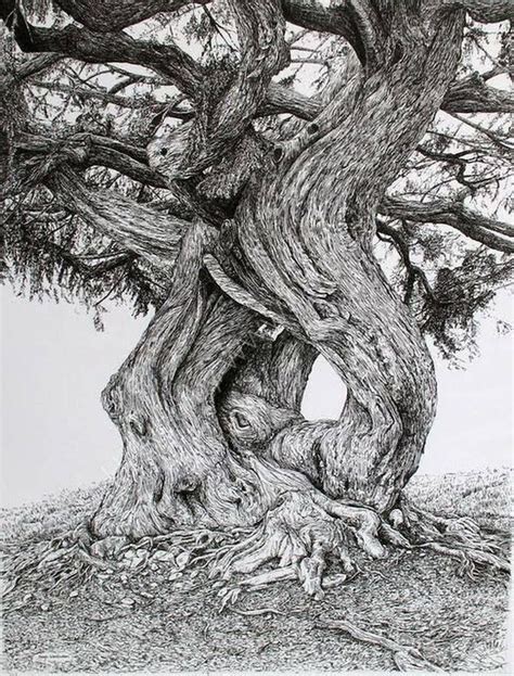 Sarah Woolfenden Landscape Drawings Architecture Drawings Ink