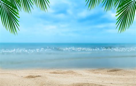 Обои песок море пляж лето небо солнце пальмы берег Summer