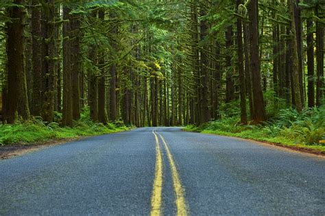 Drive The Olympic Peninsula Loop Drive The Nation