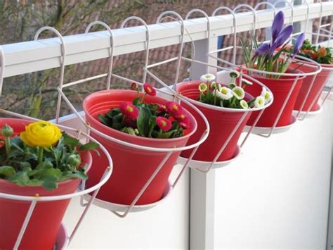 Conocer las mejores plantas para cestas colgantes nos permitirá poder crear verdaderas maravillas. Ideas para crear un jardín en el balcón | Guía de Jardinería