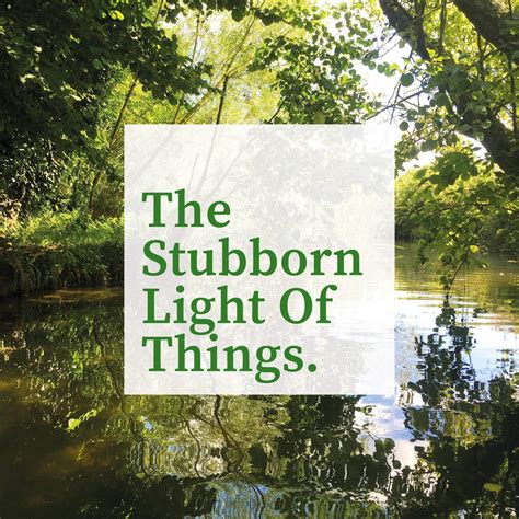 The Stubborn Light of Things (podcast) - Melissa Harrison | Listen Notes