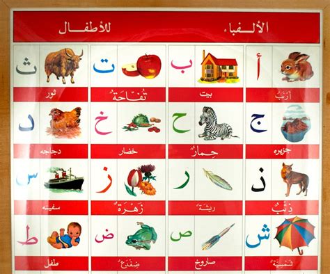 Arabic Alphabet Poster Alphabet Poster Alphabet Poster Porn Sex Picture