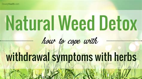 We did not find results for: Natural Weed Detox: How To Cope with Marijuana Withdrawal ...