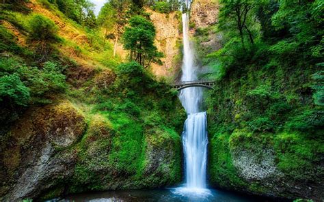 Oregon Usa Waterfall River Stream Forest Trees Bridge Rock 2560x1600