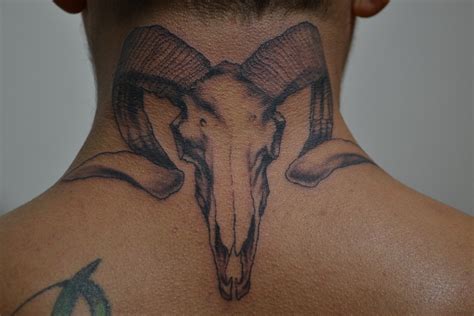 Aries Ram Skull 2012 Juan Cruz Leiva Flickr
