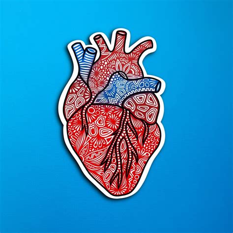 Anatomical Heart Sticker Waterproof Etsy