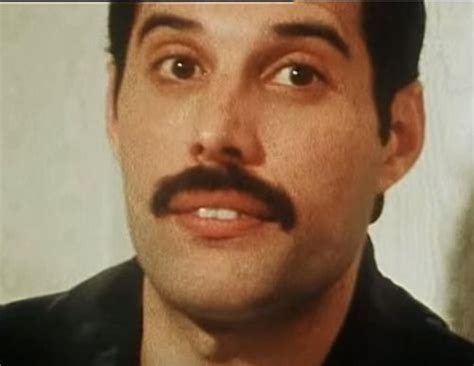 i like photos of freddie mercury where you can just see his front two teeth only he looks sweet