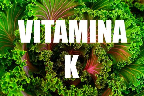 Vitamina K Benefícios E Alimentos Que A Contém Saúde Blog Opas